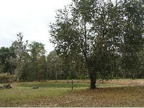 5903 NW 138th Ter., Gainesville, FL 32653