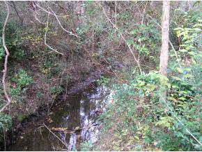 [Address Hidden by Seller], Gainesville, FL 32606