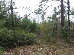 4500 SW 24th Ave., Gainesville, FL 32608