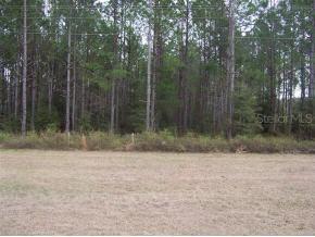 State Rd 45, High Springs, FL 32615