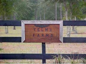 [Address Hidden by Seller], Newberry, FL 32669