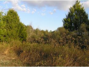 [Address Hidden by Seller], Newberry, FL 32669