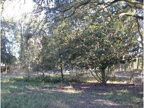 27002 NW 142 Ave., High Springs, FL 32643