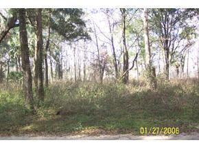 234 Little Orange Lake Dr., Hawthorne, FL 32640