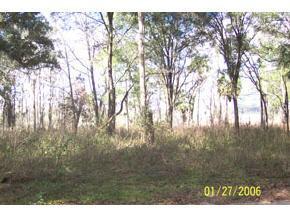 232 Little Orange Lake Dr., Hawthorne, FL 32640