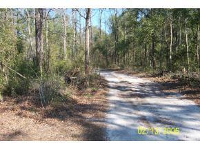 4523 NW 143 St., Gainesville, FL 32606