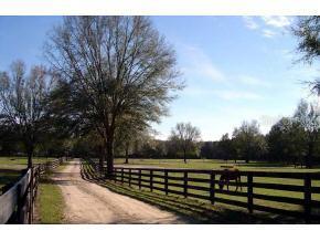 15503 SW 15th Avenue, Newberry, FL 32669