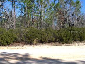 0000 County Rd Hour Glass, Hawthorne, FL 32640