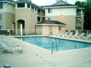 3921 SW 34th #203 St., Gainesville, FL 32608