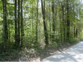 00 NW 227th Dr., High Springs, FL 32643