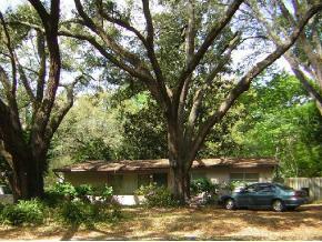 1910 NW 55 St St., Gainesville, FL 32605