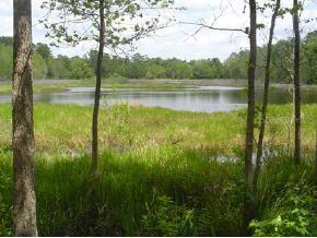 SE 42 Ln., Gainesville, FL 32641