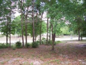 [Address Hidden by Seller], Trenton, FL 32693