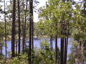 238 Cue Lake Dr., Melrose, FL 32666