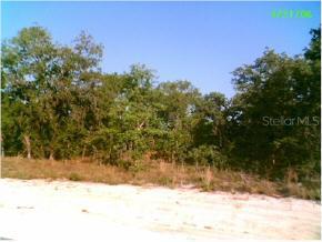 Lot10 NE 25 Ln., High Springs, FL 23643