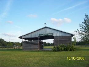 19203 SW 15 Ave., Newberry, FL 32669