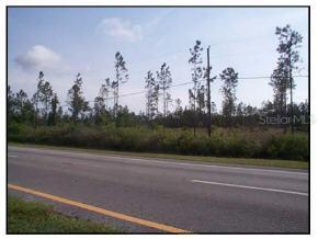Hwy 301, Hawthorne, FL 32640
