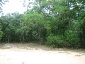 124 Mandarin Lake Rd., Melrose, FL 32666