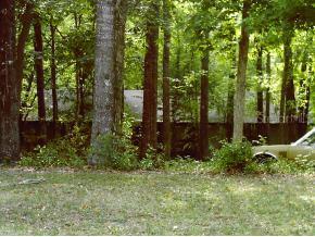 3317 NW 38th St., Gainesville, FL 32606