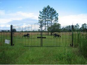 2910 NE Cr-219a, Melrose, FL 32656