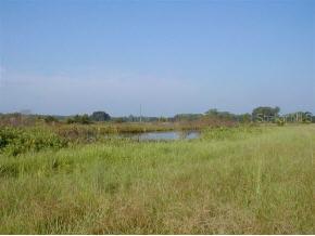 21305 E County Road 1474, Hawthorne, FL 32640