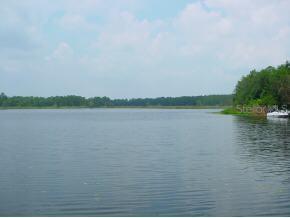 183 Arrowhead Point Rd, Hawthorne, FL 32640