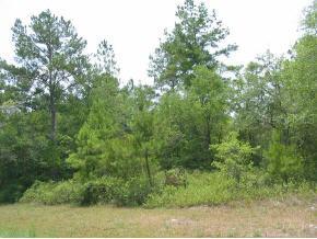 LOT 9 NE 35th Trail, Other, FL 32052