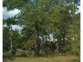 4911 NW 6 Street, Gainesville, FL 32609