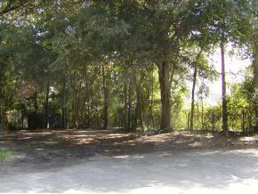 440 NW 27th Avenue, Gainesville, FL 32609