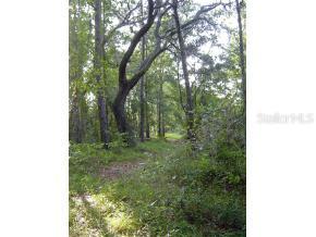 SW 36 Trail, Worthington Springs, FL 32697