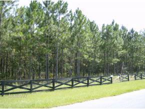 NW 48th Place, Newberry, FL 32669