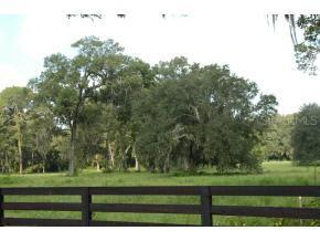 10934 NW 153 Ter., Alachua, FL 32615