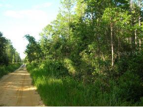 [Address Hidden by Seller], Orange Springs, FL 32640