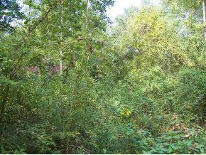 SW 91st St., Gainesville, FL 32607