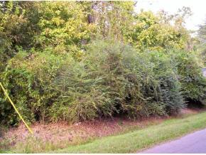 2404 NE 4th Ave., Gainesville, FL 32641