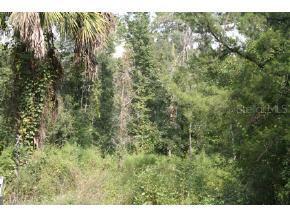 3501 SW 77 St., Gainesville, FL 32608