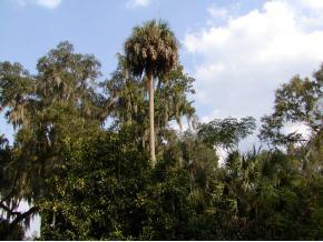 6123 SW 13th Street, Gainesville, FL 32608