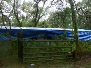 2330 SE 46th Terrace, Gainesville, FL 3260