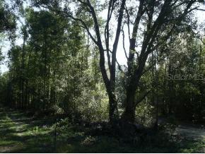 NW 182 St., Newberry, FL 32669