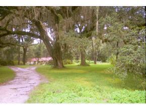 18424 SW 15 Ave., Newberry, FL 32669