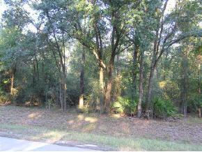 1121 NE County Rd 234, Gainesville, FL 32601