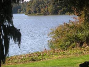 2608 SW 14th Dr., Gainesville, FL 32608