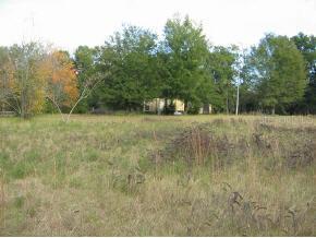 299 SW Hughes Jordan Glen, High Springs, FL 32643