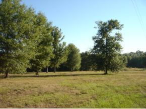[Address Hidden by Seller], Williston, FL 32696