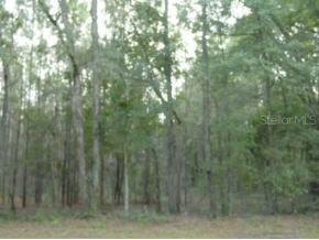 NW 32nd Ave., Newberry, FL 32669