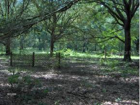 1320 NW Cr 235, Newberry, FL 32669