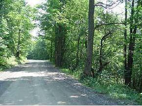 9415 SW 12th Ave., Gainesville, FL 32607