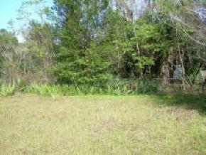 16344 SW 143rd Ave., Archer, FL 32618