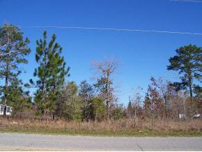 5600 Cr 214, Keystone Heights, FL 32656