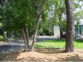 1114 NW 6th St., Gainesville, FL 32601